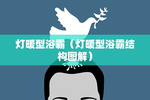灯暖型浴霸（灯暖型浴霸结构图解）