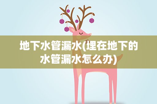 地下水管漏水(埋在地下的水管漏水怎么办)