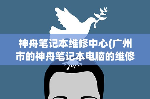 神舟笔记本维修中心(广州市的神舟笔记本电脑的维修点在哪)