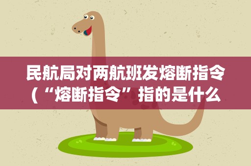 民航局对两航班发熔断指令(“熔断指令”指的是什么)