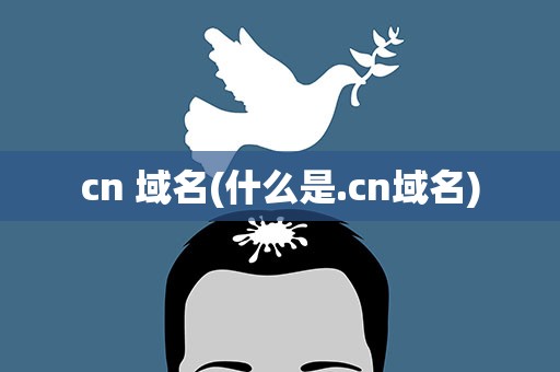 cn 域名(什么是.cn域名)