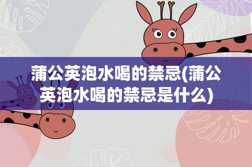 蒲公英泡水喝的禁忌(蒲公英泡水喝的禁忌是什么)