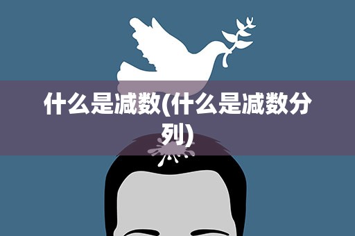 什么是减数(什么是减数分列)