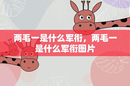 两毛一是什么军衔，两毛一是什么军衔图片