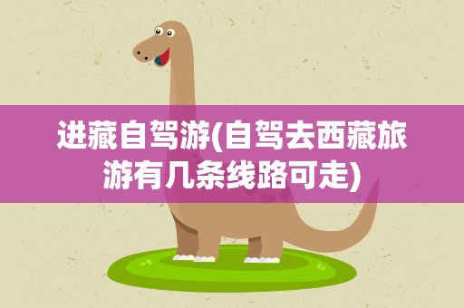 进藏自驾游(自驾去西藏旅游有几条线路可走)