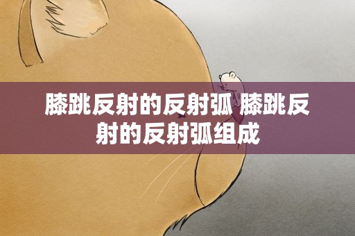 膝跳反射的反射弧 膝跳反射的反射弧组成