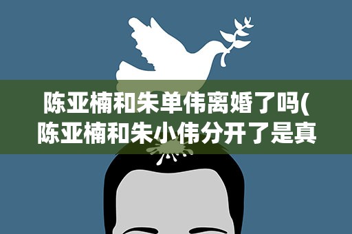 陈亚楠和朱单伟离婚了吗(陈亚楠和朱小伟分开了是真的吗)