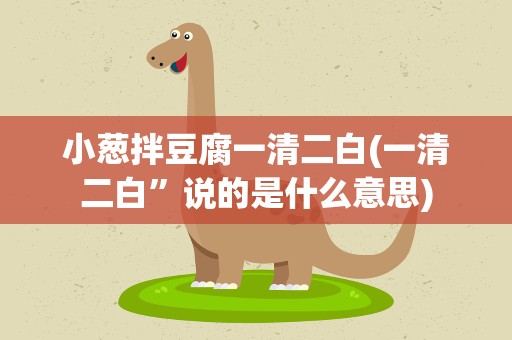 小葱拌豆腐一清二白(一清二白”说的是什么意思)