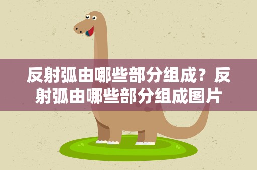 反射弧由哪些部分组成？反射弧由哪些部分组成图片