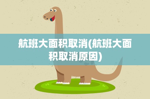 航班大面积取消(航班大面积取消原因)