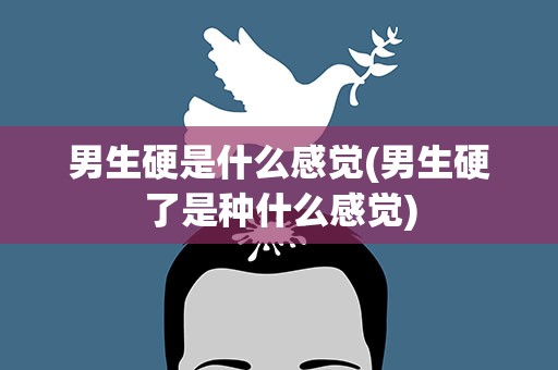 男生硬是什么感觉(男生硬了是种什么感觉)