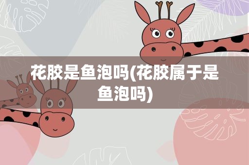 花胶是鱼泡吗(花胶属于是鱼泡吗)