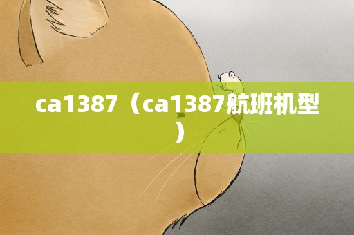 ca1387（ca1387航班机型）