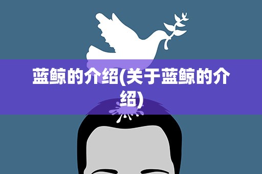 蓝鲸的介绍(关于蓝鲸的介绍)