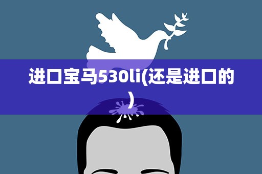 进口宝马530li(还是进口的)