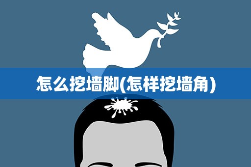 怎么挖墙脚(怎样挖墙角)