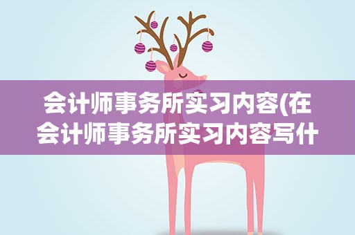 会计师事务所实习内容(在会计师事务所实习内容写什么内容)
