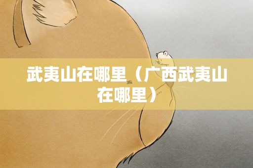 武夷山在哪里（广西武夷山在哪里）