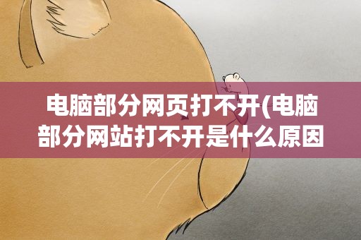 电脑部分网页打不开(电脑部分网站打不开是什么原因)