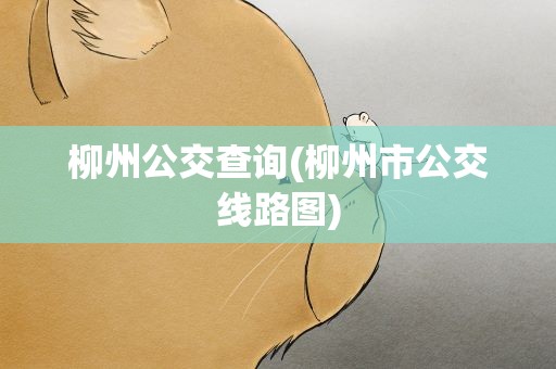 柳州公交查询(柳州市公交线路图)