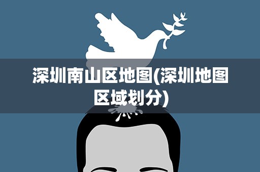 深圳南山区地图(深圳地图区域划分)