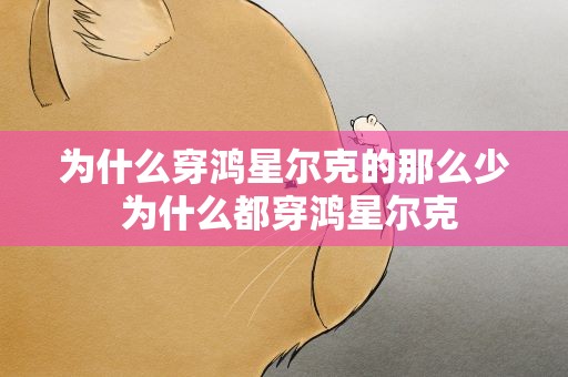 为什么穿鸿星尔克的那么少 为什么都穿鸿星尔克