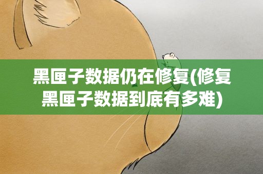 黑匣子数据仍在修复(修复黑匣子数据到底有多难)