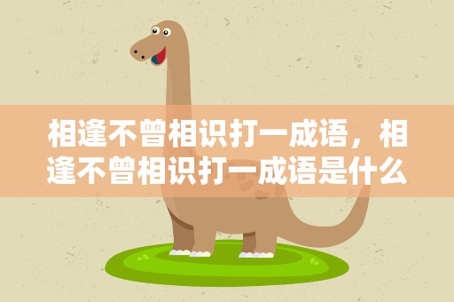 相逢不曾相识打一成语，相逢不曾相识打一成语是什么