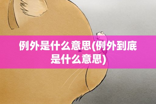 例外是什么意思(例外到底是什么意思)