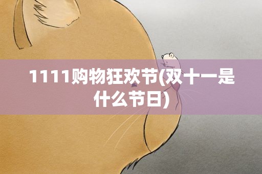 1111购物狂欢节(双十一是什么节日)