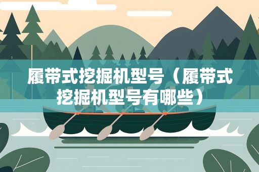 履带式挖掘机型号（履带式挖掘机型号有哪些）