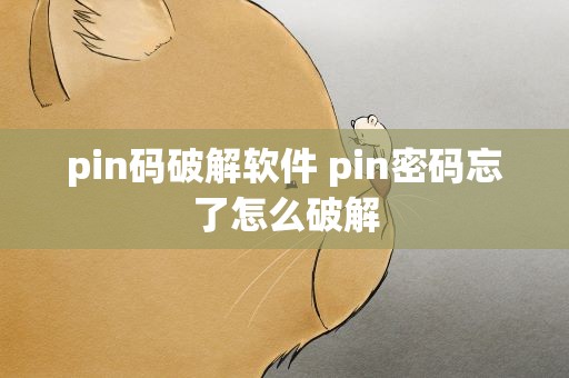 pin码破解软件 pin密码忘了怎么破解