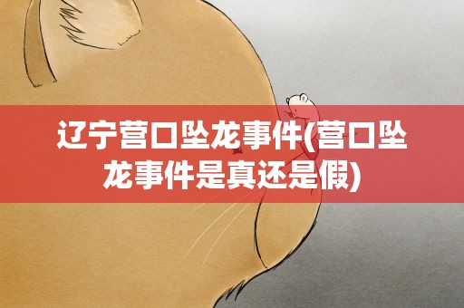 辽宁营口坠龙事件(营口坠龙事件是真还是假)