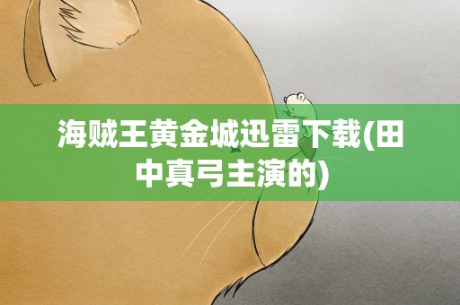 海贼王黄金城迅雷下载(田中真弓主演的)