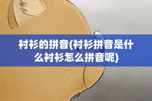 衬衫的拼音(衬衫拼音是什么衬衫怎么拼音呢)