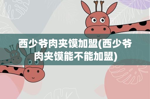 西少爷肉夹馍加盟(西少爷肉夹馍能不能加盟)
