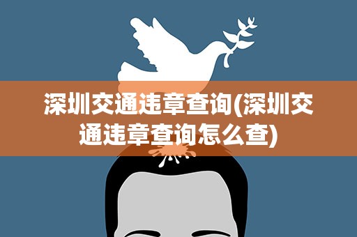 深圳交通违章查询(深圳交通违章查询怎么查)