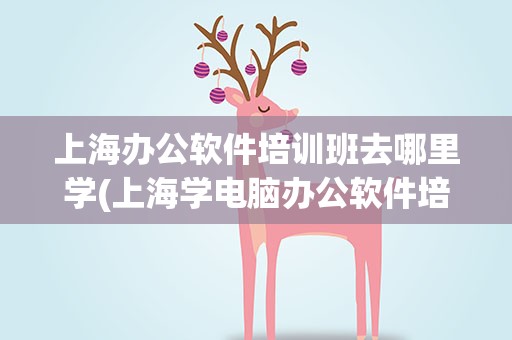 上海办公软件培训班去哪里学(上海学电脑办公软件培训班)