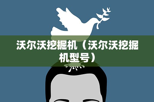 沃尔沃挖掘机（沃尔沃挖掘机型号）