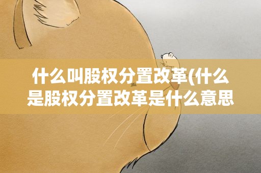 什么叫股权分置改革(什么是股权分置改革是什么意思)