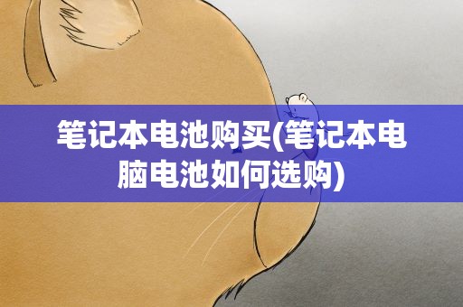 笔记本电池购买(笔记本电脑电池如何选购)