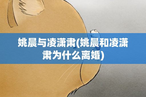 姚晨与凌潇肃(姚晨和凌潇肃为什么离婚)