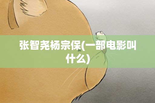 张智尧杨宗保(一部电影叫什么)