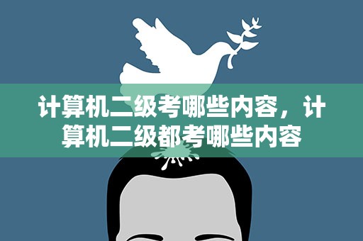 计算机二级考哪些内容，计算机二级都考哪些内容