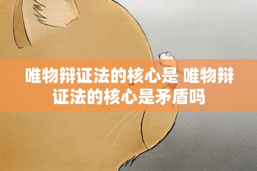 唯物辩证法的核心是 唯物辩证法的核心是矛盾吗