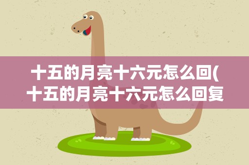 十五的月亮十六元怎么回(十五的月亮十六元怎么回复)