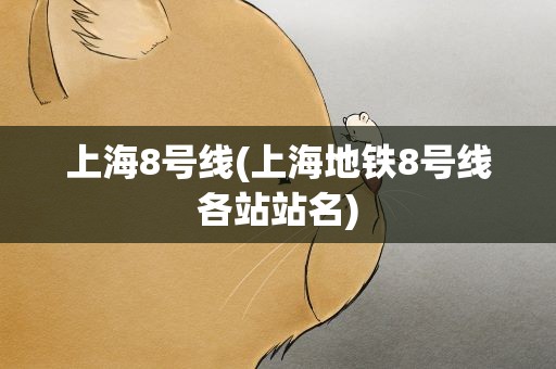 上海8号线(上海地铁8号线各站站名)
