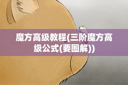 魔方高级教程(三阶魔方高级公式(要图解))