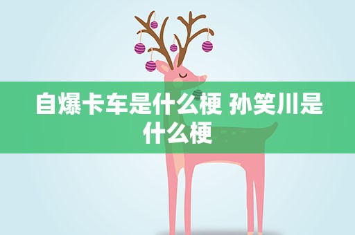 自爆卡车是什么梗 孙笑川是什么梗