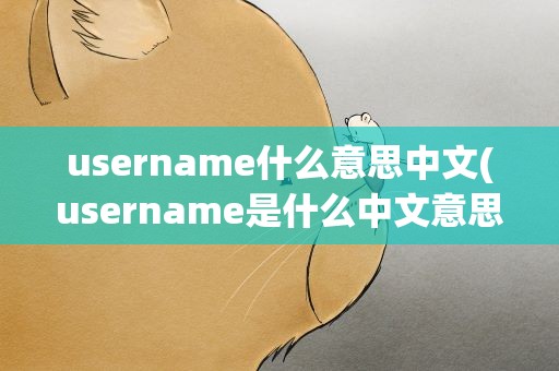 username什么意思中文(username是什么中文意思)